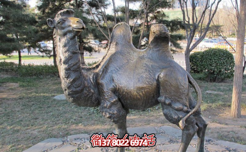 創(chuàng)意大型玻璃鋼駱駝雕塑，在草地上擺放，一眼回頭