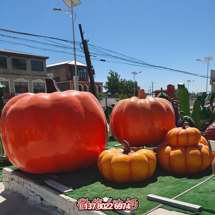 美麗鄉村，收獲美食——南瓜種植示范農場